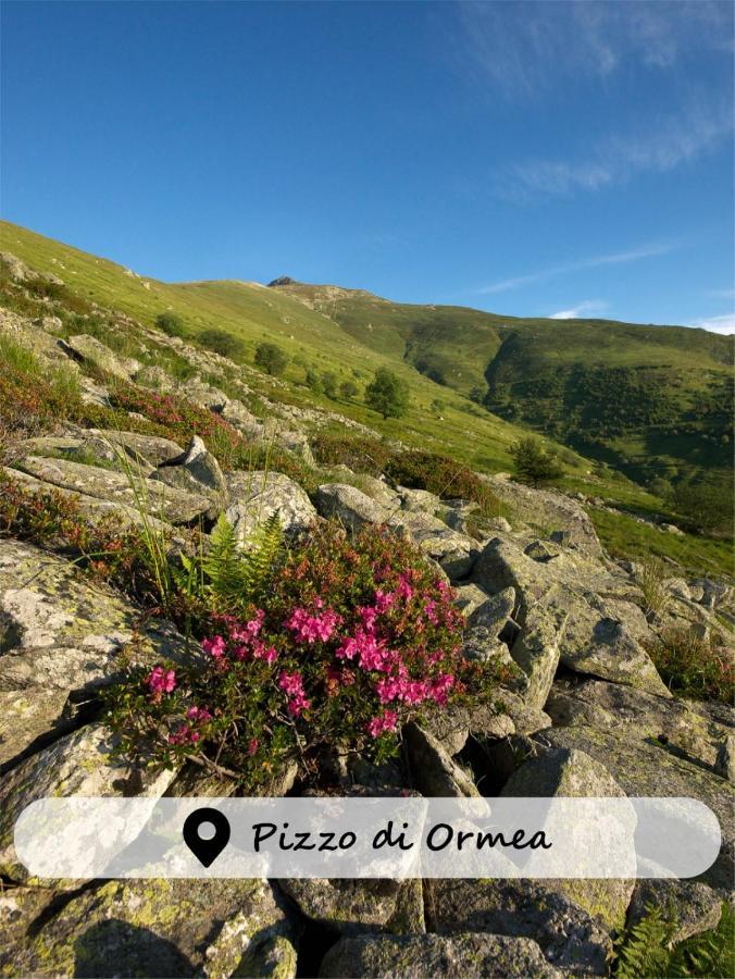 Albergo Ristorante Payarin Ormea 외부 사진